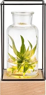 Gadgy® Beleuchtete Glasvase mit LED | Moderne Blumenvase Ø8cm für Wohnzimmer Deko | Skandinavi…