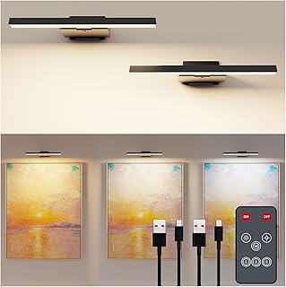 Bilderleuchte Kabellos, 2 Stück LED Wandleuchte Innen mit Fernbedienung, 6000mAh Akku Bildbeleuc…
