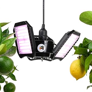 Meine Orangerie – LED-Pflanzenlampe FLEX [100W] – Vollspektrum LED Pflanzenleuchte zur Überwinte…