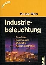 Industriebeleuchtung: Grundlagen, Berechnungen, Werkstoffe, Normen, Vorschriften