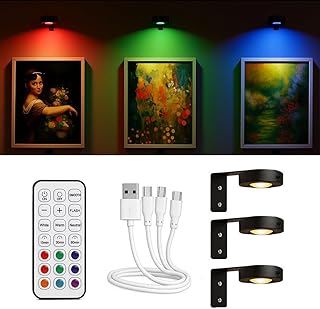 Wandlampe akku 3er Set, Led Wandleuchte ohne Stromanschluss, Bilderleuchte Kabellos, RGB & Weißl…