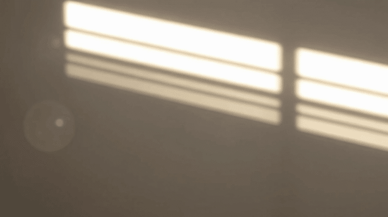 img_68b40f2d9217d.png
